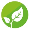 Icon 2